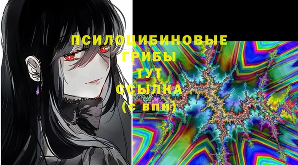 MDMA Premium VHQ Медвежьегорск