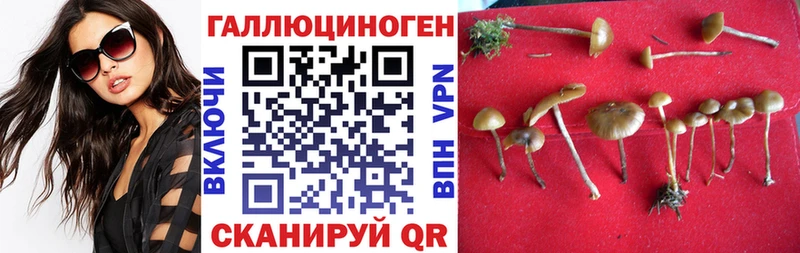 сайты даркнета телеграм  Щучье  Галлюциногенные грибы ЛСД  как найти  