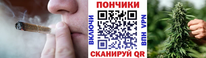 мега ССЫЛКА  как найти закладки  Щучье  Канабис THC 21% 